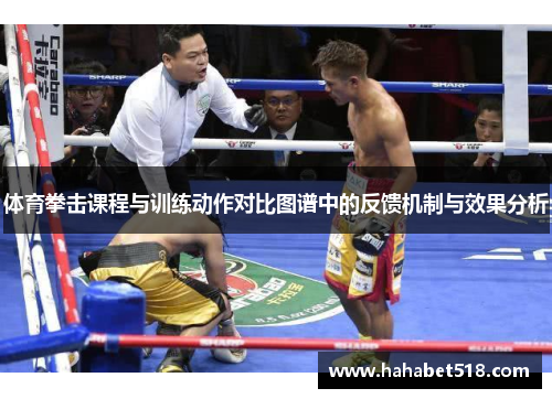体育拳击课程与训练动作对比图谱中的反馈机制与效果分析